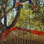 Anuradhapura