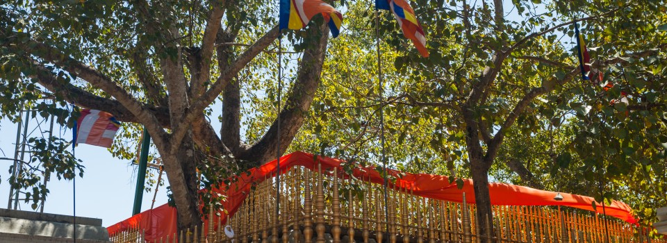 Anuradhapura